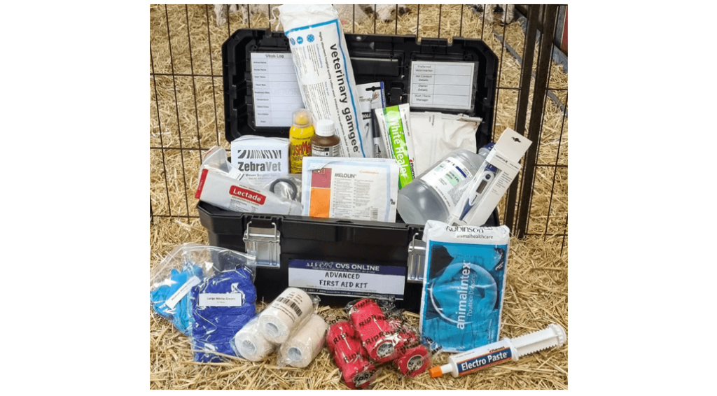 Horse first aid kit